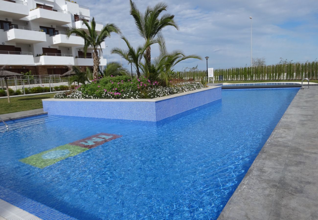 Zapholiday - 3056 - Terrazas de Campoamor apartment, Costa Blanca - swimming pool