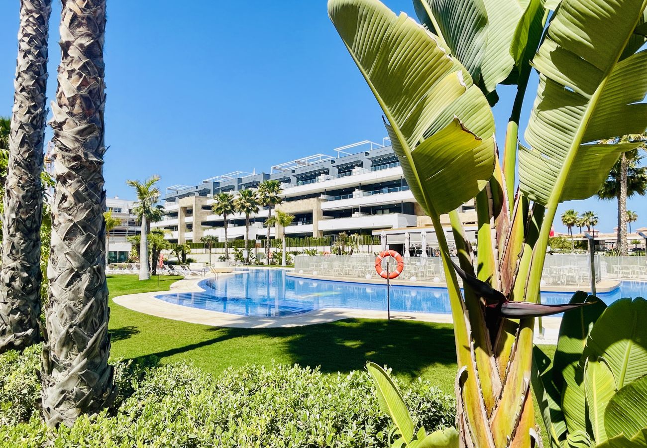 Apartment in Orihuela Costa - 3095 Playa FLAMENCA VILLAGE