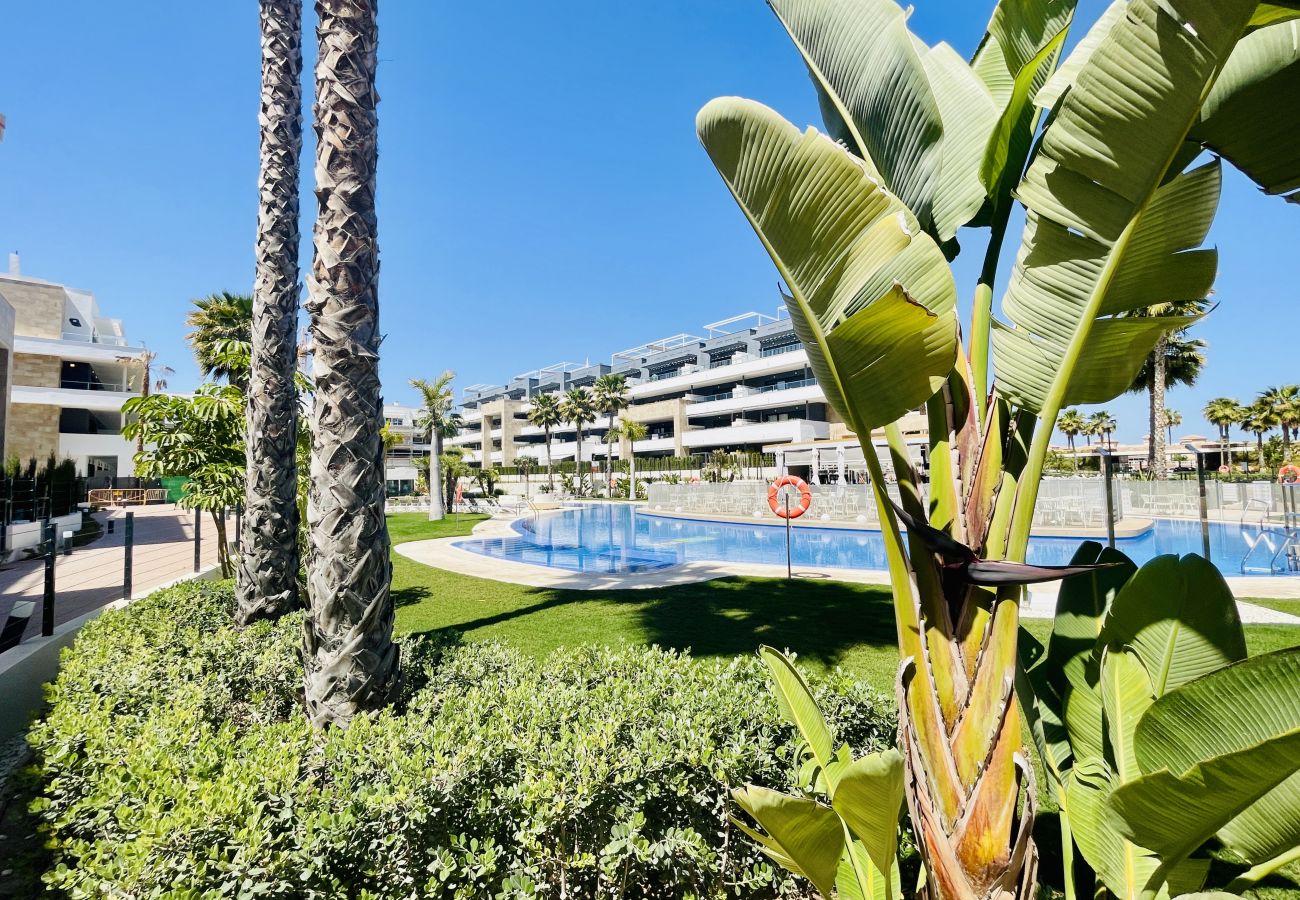 Apartment in Orihuela Costa - 3095 Playa FLAMENCA VILLAGE